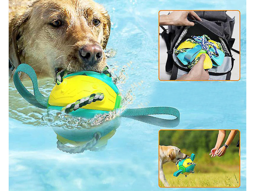 PELOTA FRISBEE PARA PERROS