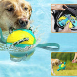 PELOTA FRISBEE PARA PERROS